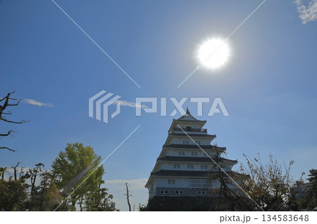 大きな太陽に照らされて優雅に佇む島原城 大きな太陽に照らされて優雅に佇む島原城 134583648