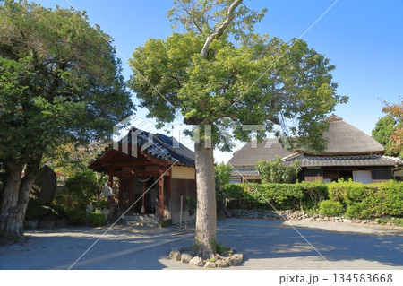 島原武家屋敷の水天宮の奥に佇む山本邸の景色 134583668