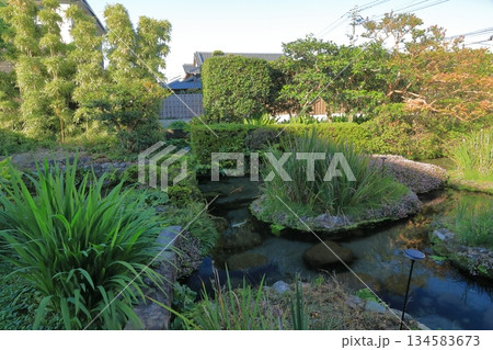 島原湧水庭園四明荘の緑豊かな裏庭の風景 134583673