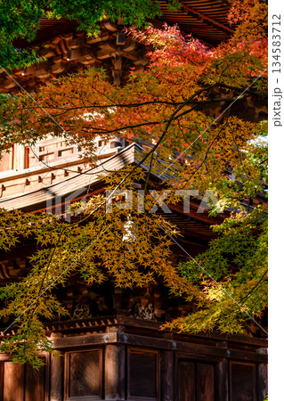 紅葉に包まれた仏塔 134583712