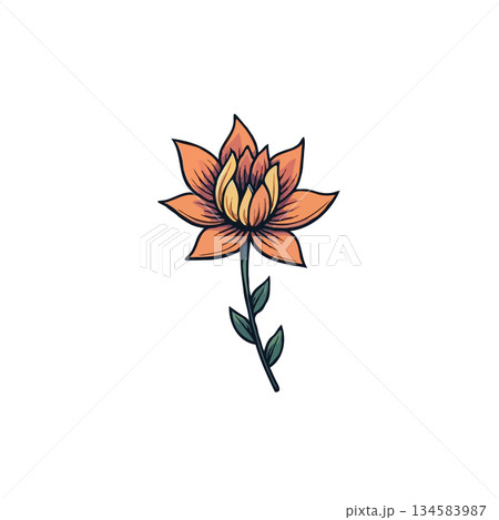 Delicate botanical illustration showcasing vibrant orange flower on a slender stem, isolated Delicate botanical illustration showcasing vibrant orange flower on a slender stem, isolated 134583987