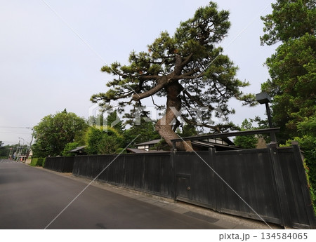 青森　弘前　弘前市仲町重伝建地区の街並み 134584065