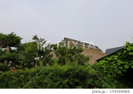 青森　弘前　仲町重伝建地区　武家屋敷の屋根に上るネコ 134584068