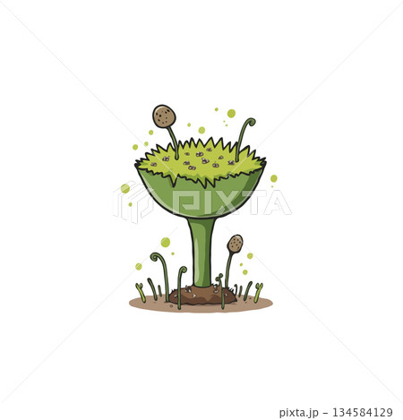 Whimsical fantasy plant with sprouting tendrils illustration in a lush green color palette 134584129