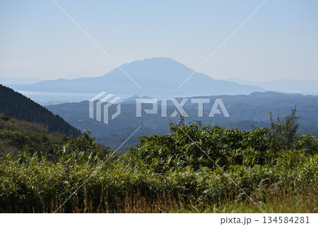 柳ヶ平散策路展望台と桜島 134584281