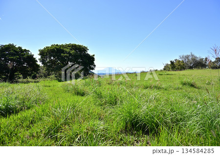 緑が広がる柳ヶ平散策路展望台 134584285