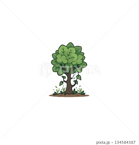 Stylized tree illustration with abundant leaves capturing nature's essence in simple artistic form 134584387