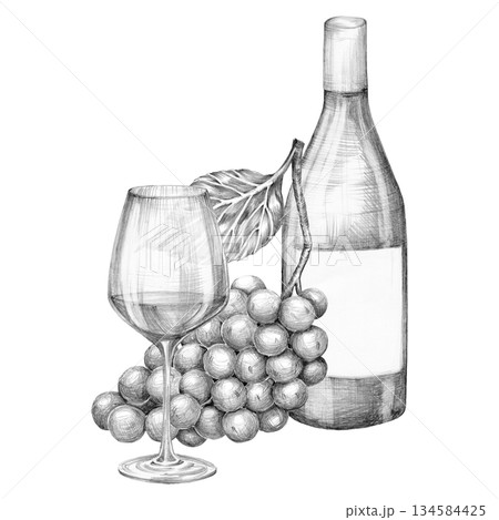 Composition of a bottle of wine, a glass and a bunch of grapes. Hand drawn with a pencil without a background 134584425