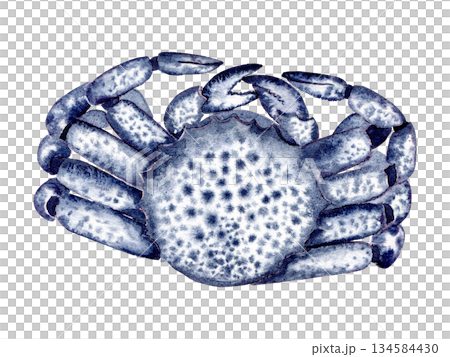 crab blue with spots. Hand drawn with watercolor with texture. for fish restaurant design, menu crab blue with spots. Hand drawn with watercolor with texture. for fish restaurant design, menu 134584430
