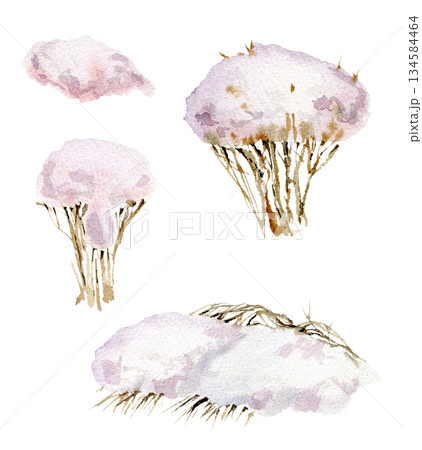 bushes of plants under a cap of snow from above. Winter, cold plants. Hand-drawn with watercolors 134584464