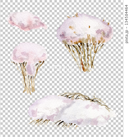 bushes of plants under a cap of snow from above. Winter, cold plants. Hand-drawn with watercolors 134584464