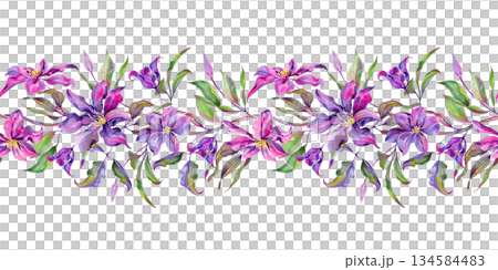 Flowers and buds of clematis, flowering branch and leaves are multi-colored, graceful. Seamless pattern, border Flowers and buds of clematis, flowering branch and leaves are multi-colored, graceful. Seamless pattern, border 134584483