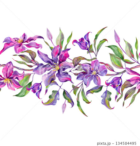 Flowers and buds of clematis, flowering branch and leaves are multi-colored, graceful. Seamless pattern, border Flowers and buds of clematis, flowering branch and leaves are multi-colored, graceful. Seamless pattern, border 134584495