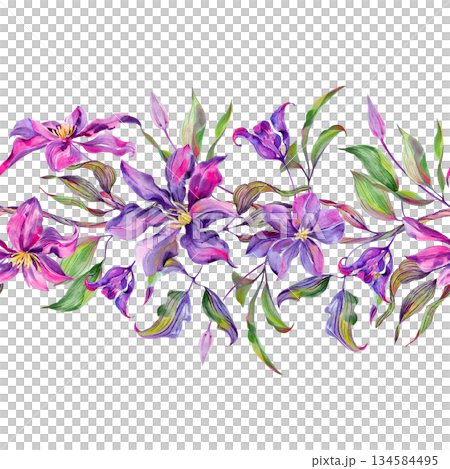 Flowers and buds of clematis, flowering branch and leaves are multi-colored, graceful. Seamless pattern, border 134584495