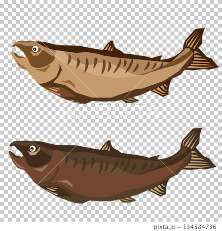 Woodcarving-style salmon illustration set 134584736