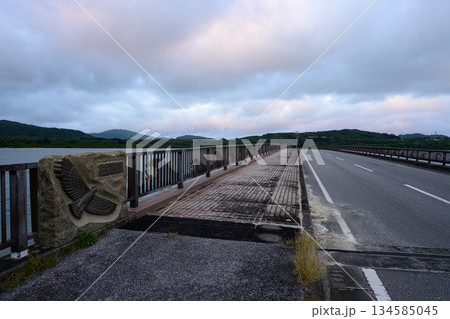 真っ直ぐな道と夜明けの空　西表島の風景 134585045