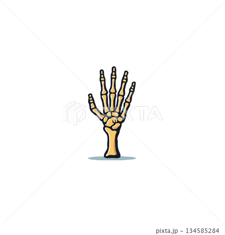 Stylized skeletal hand raising in anatomical illustration, presenting the intricate framework, 134585284