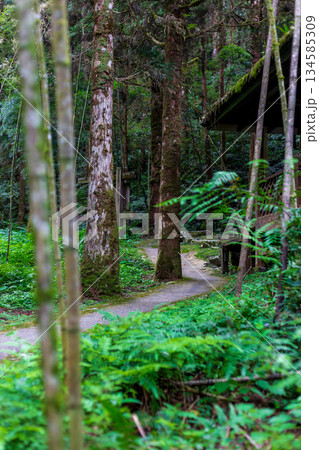 台湾 宜蘭 フットパス 134585309