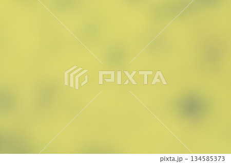 和紙と落ち葉のボケ味コラボ【背景素材】 134585373