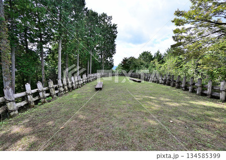 愛知県豊田市　中世山城を復元した城跡公園足助城「真弓山城」 134585399