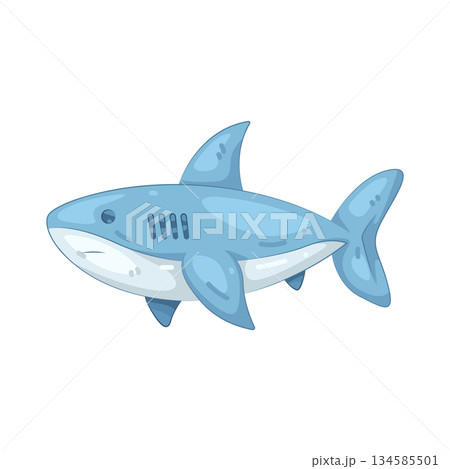 Illustration of shark 134585501