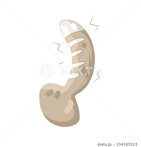 Illustration of cat tail  134585523