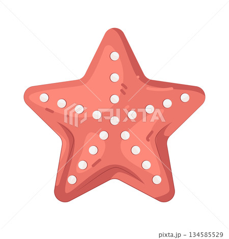Illustration of starfish Illustration of starfish 134585529