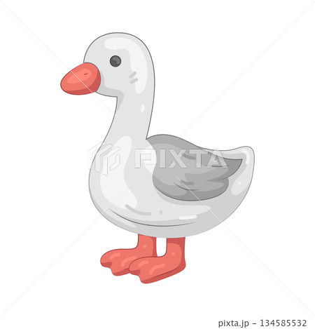 Illustration of duck Illustration of duck 134585532
