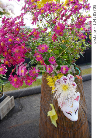 笠間菊祭り 笠間菊祭り 134585708
