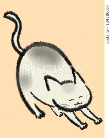 伸びをする太った猫のイラスト 伸びをする太った猫のイラスト 134586057