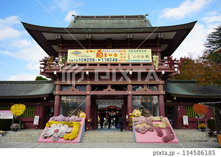 笠間稲荷神社 菊祭り 笠間稲荷神社 菊祭り 134586185