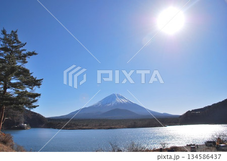 精進湖での「富士山」と太陽で 精進湖での「富士山」と太陽で 134586437
