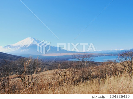 山中湖展望台からの「富士山」 山中湖展望台からの「富士山」 134586439