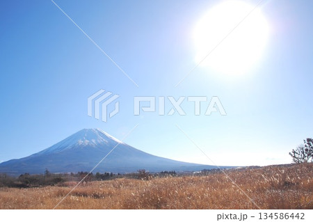 朝霧高原の「富士と太陽」 134586442