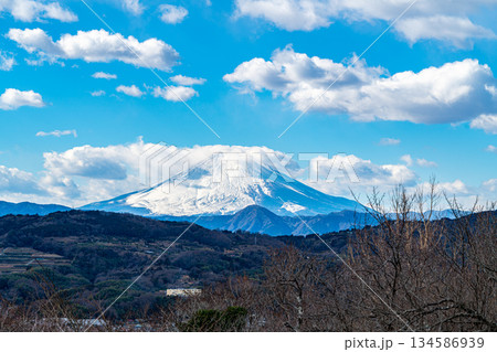 【神奈川県】二宮町にある吾妻山公園から見える富士山 134586939