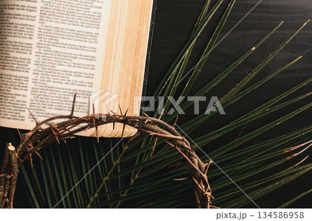 crown of thorns above an open Bible with palm leaves, symbolizing Christian faith, Palm Sunday ritual, sacrifice and Easter reflection for worship and prayer concepts. crown of thorns above an open Bible with palm leaves, symbolizing Christian faith, Palm Sunday ritual, sacrifice and Easter reflection for worship and prayer concepts. 134586958