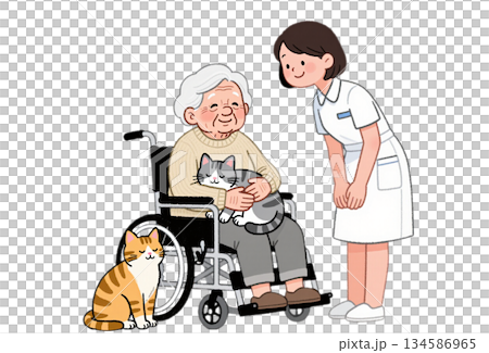 白髪のおばあさんが車椅子に座り、膝の上で眠るグレーの猫を優しく抱き、足元には茶トラ猫が座っている。 134586965