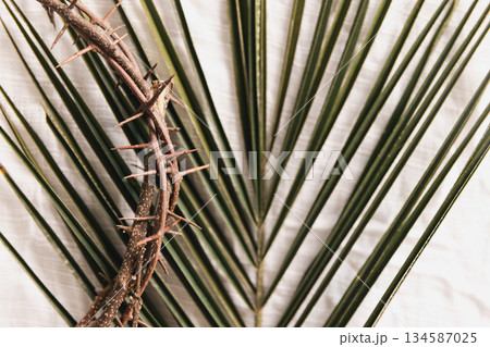 green palm leaves with crown of thorns over white fabric background, symbolizing Christian faith, Palm Sunday, sacrifice, Easter reflection, minimal religious concept with copy space. green palm leaves with crown of thorns over white fabric background, symbolizing Christian faith, Palm Sunday, sacrifice, Easter reflection, minimal religious concept with copy space. 134587025