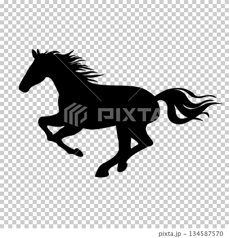 Vector illustration of a running horse silhouette 134587570