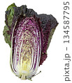 紫白菜 134587795