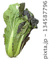紫白菜 134587796