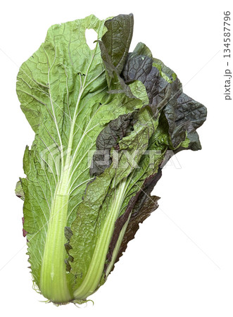 紫白菜 134587796