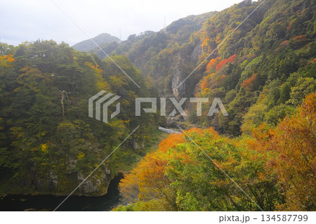 紅葉に包まれた鬼怒川温泉 紅葉に包まれた鬼怒川温泉 134587799