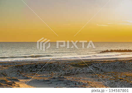 浜松市の中田島砂丘の風景(静岡県) 134587801