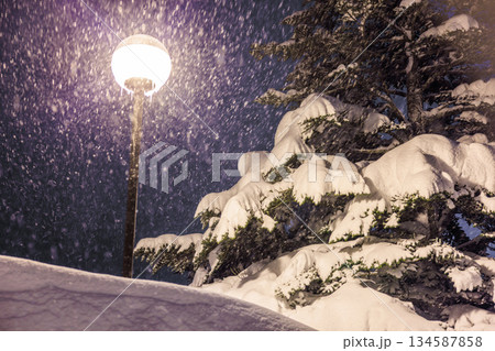 雪が積もったもみの木と街灯 雪が積もったもみの木と街灯 134587858