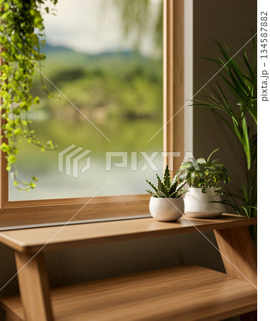 Potted succulent on wooden display shelf aside windowsill with hanging plant and outside waterscape. 134587882