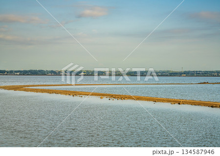 田原市の田原湾の風景(愛知県) 134587946