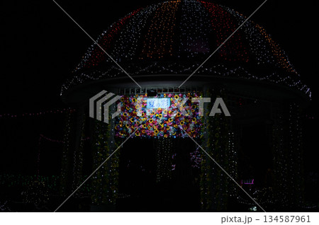 フローランテ宮崎のイルミネーション 134587961