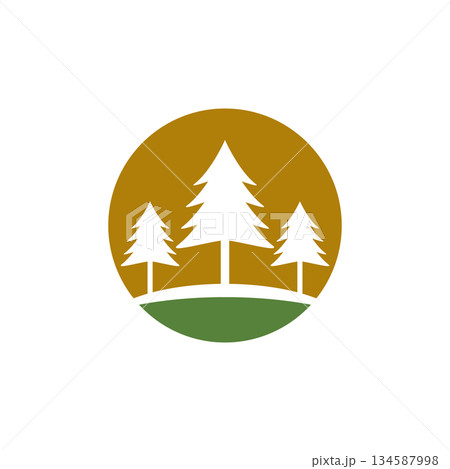 Christmas pine tree icon 134587998