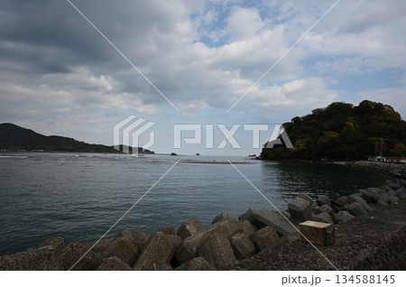 日南海岸の風景 134588145